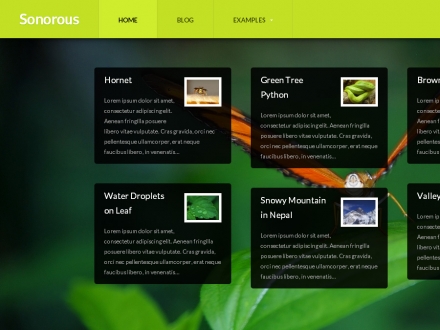 Sonorous