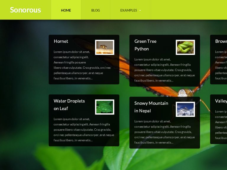 Sonorous