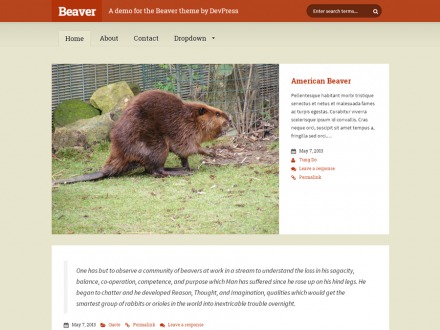 Beaver